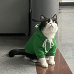 Load image into Gallery viewer, Dog Hoodie Basic Sweater Coat Cute - Frog Shape Warm Jacket Pet Cold Weather Clothes Outfit Outerwear for Cats Puppy Small Medium Dogs
