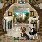 Load image into Gallery viewer, Runway Pup Collection | Unique