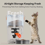 Load image into Gallery viewer, Automatic Dog Feeders, Pet Feeder, Cat Food Dispenser with Stainless Steel Bowl, 4L, Black