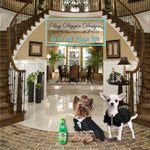 Load image into Gallery viewer, Libation Station Collection | Unique Squeaky Parody Plush Dog Toys – Shaken, Not Stirred