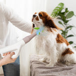 Load image into Gallery viewer, Dog Cat Hair Blower with Negative Ion Function
