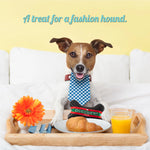 Load image into Gallery viewer, Runway Pup Collection | Unique