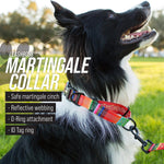 Load image into Gallery viewer, Martingale Collar for Dogs | Reflective Nylon Dog Collar for Large Dogs, Medium and Small Dogs | No Pull Pet Training Collar | Quick Release Buckle, Adjustable Pet Collar