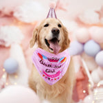Load image into Gallery viewer, Dog Birthday Party Supplies Bandana Hat Banner Set Boy Girl Cute Bow Tie Scarf Dog Birthday Decorations (Pink,Dog Girl)