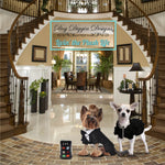 Load image into Gallery viewer, Runway Pup Collection | Unique
