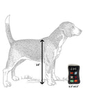 Load image into Gallery viewer, Runway Pup Collection | Unique