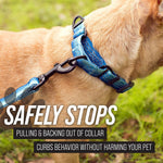 Load image into Gallery viewer, Martingale Collar for Dogs | Reflective Nylon Dog Collar for Large Dogs, Medium and Small Dogs | No Pull Pet Training Collar | Quick Release Buckle, Adjustable Pet Collar