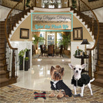 Load image into Gallery viewer, Runway Pup Collection | Unique Squeaky Parody Plush Dog Toys – Prêt-À-Porter Dog Bones, Balls & More