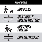 Load image into Gallery viewer, Martingale Collar for Dogs | Reflective Nylon Dog Collar for Large Dogs, Medium and Small Dogs | No Pull Pet Training Collar | Quick Release Buckle, Adjustable Pet Collar