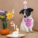 Load image into Gallery viewer, Dog Birthday Party Supplies Bandana Hat Banner Set Boy Girl Cute Bow Tie Scarf Dog Birthday Decorations (Pink,Dog Girl)