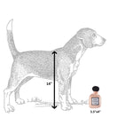 Load image into Gallery viewer, Runway Pup Collection | Unique