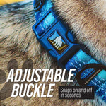 Load image into Gallery viewer, Martingale Collar for Dogs | Reflective Nylon Dog Collar for Large Dogs, Medium and Small Dogs | No Pull Pet Training Collar | Quick Release Buckle, Adjustable Pet Collar