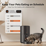 Load image into Gallery viewer, Automatic Dog Feeders, Pet Feeder, Cat Food Dispenser with Stainless Steel Bowl, 4L, Black