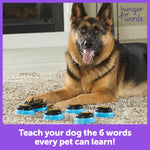 Load image into Gallery viewer, Talking Pet Essential Words 6-Piece Buttons for Dog Communication, Dog Toys
