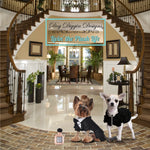 Load image into Gallery viewer, Runway Pup Collection | Unique
