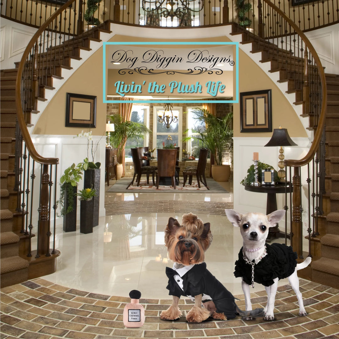 Runway Pup Collection | Unique