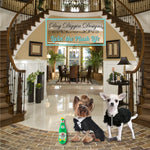 Load image into Gallery viewer, Libation Station Collection | Unique Squeaky Parody Plush Dog Toys – Shaken, Not Stirred
