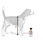 Load image into Gallery viewer, Runway Pup Collection | Unique

