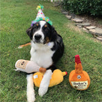 Load image into Gallery viewer, H&amp;K for Dogs Power Plush | Barker&#39;S Mark (Large) | Funny Dog Toy | Dog Toy with Squeaker | Dog Gift | Fun, Durable, and Safe | Squeaky Dog Toy
